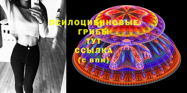 ПСИЛОЦИБИНОВЫЕ ГРИБЫ Волоколамск
