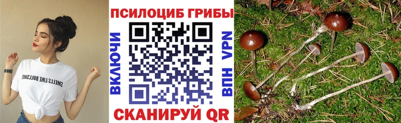Псилоцибиновые грибы мухоморы  купить наркотики цена  Снежинск 