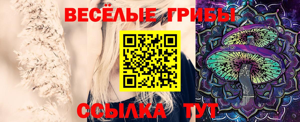 Галлюциногенные грибы GOLDEN TEACHER Снежинск