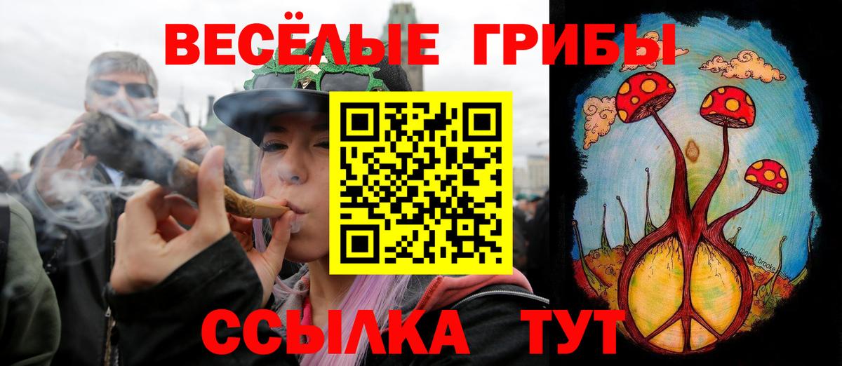 Галлюциногенные грибы MAGIC MUSHROOMS  Вход с VPN  Снежинск 
