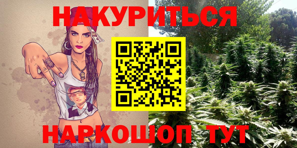Бошки марихуана конопля Снежинск
